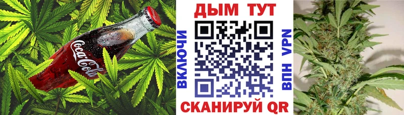 Купить закладки  Туймазы  Canna-Cookies конопля 